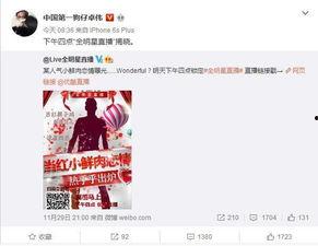 易阳利哥最新爆料消息今天,今日热点事件深度解析